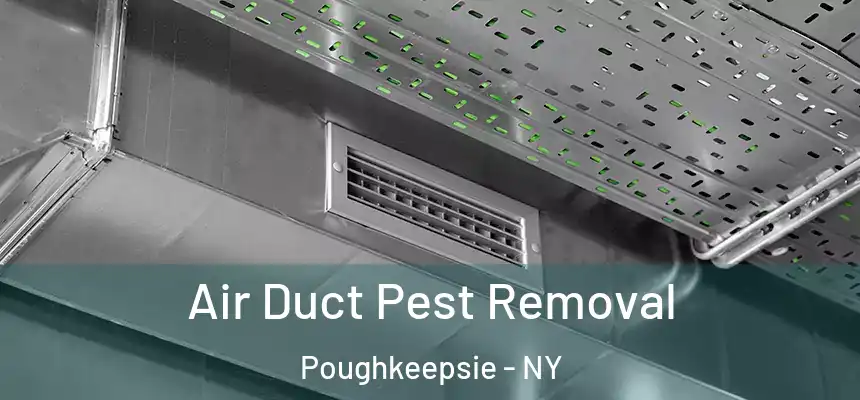Air Duct Pest Removal Poughkeepsie - NY