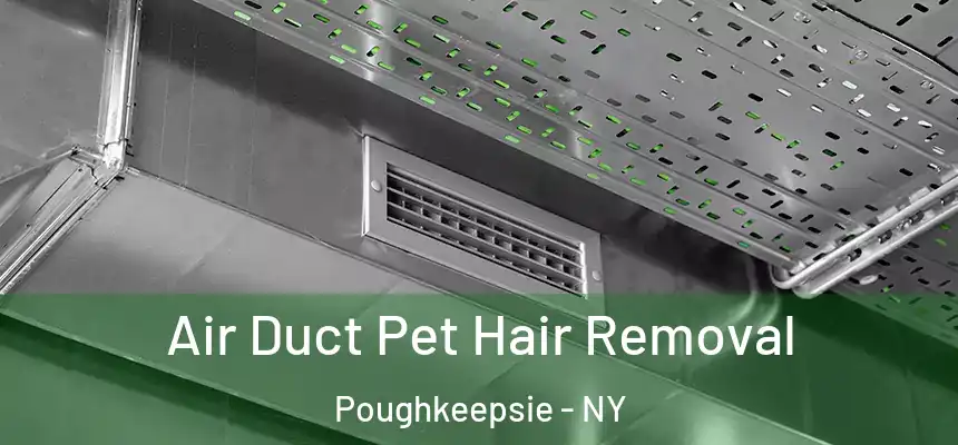 Air Duct Pet Hair Removal Poughkeepsie - NY