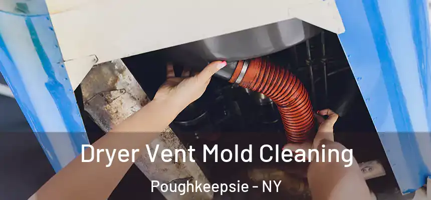  Dryer Vent Mold Cleaning Poughkeepsie - NY