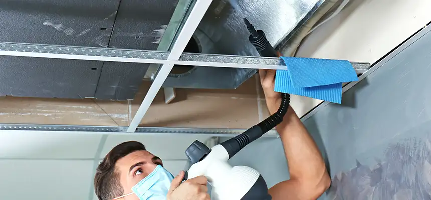 Our Air Duct Rodent Removal Services in Poughkeepsie, NY