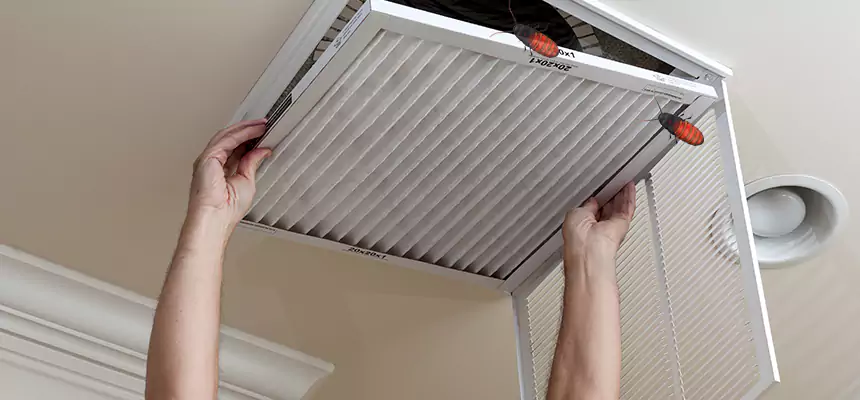 Our Insect Removal from Air Ducts Services in Poughkeepsie, NY