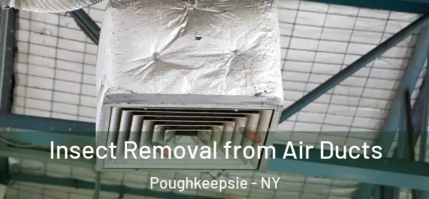  Insect Removal from Air Ducts Poughkeepsie - NY