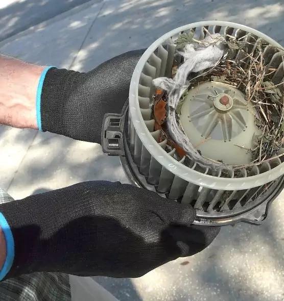 About Air Duct Mice Removal in Poughkeepsie, NY