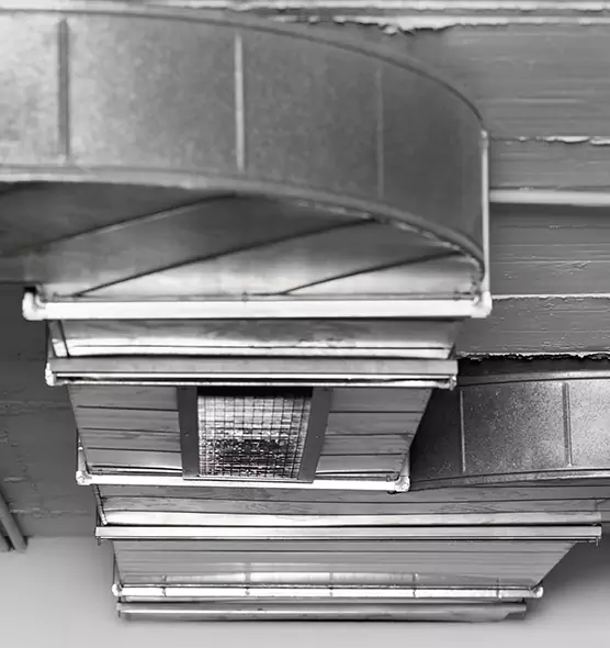 Professional Air Duct Pest Removal in Poughkeepsie, NY