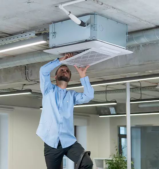 Advanced Rodent Droppings In Vents in Poughkeepsie, NY