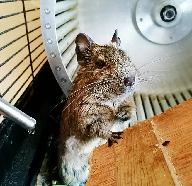 Why Homeowners & Businesses Trust Us Poughkeepsie, NY?